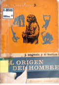 El origen del hombre