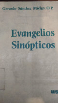 Evangelios sinópticos : planteamientos críticos