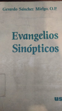 Evangelios sinópticos : planteamientos críticos