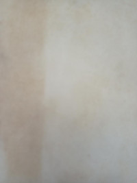 Las cartas de San Pablo